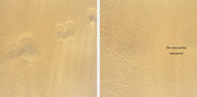 footprints2